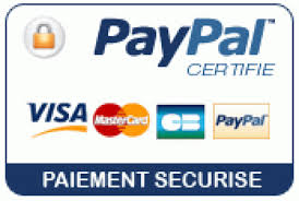 Paypal E-transaction