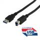 nonus014801