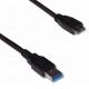 nonus021241